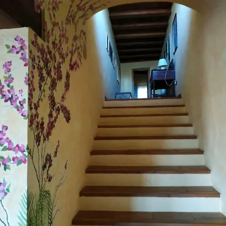 Villa Tra E Porto Rotondo *